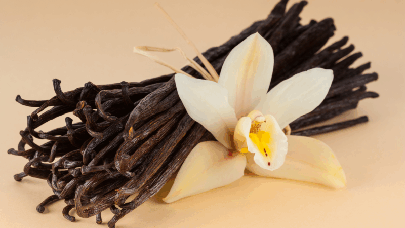 Vanilla Beans (3)