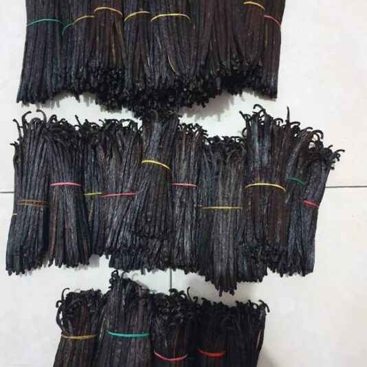 IMG_17533359826075622