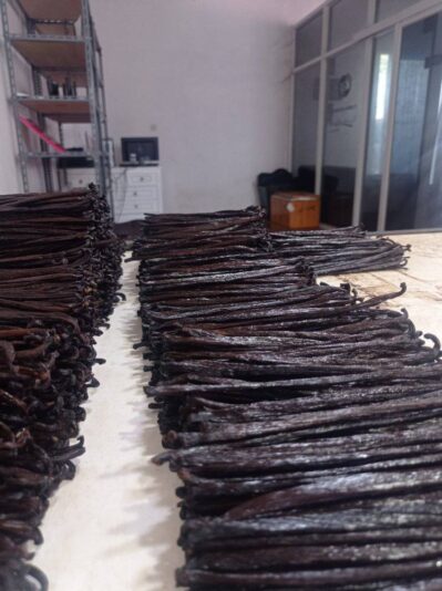 475817171_1001438938708781_8475299362776943786_n