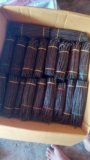 475869143_610309488386880_1494044695984627385_n