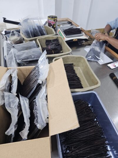 476632368_122228254814021497_2763132172515231038_n