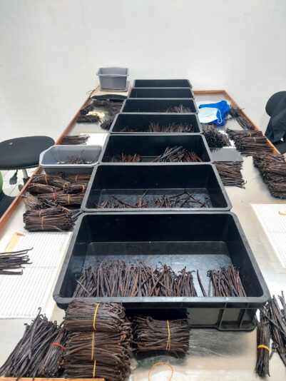 485910522_677089248047619_7583206630144150650_n