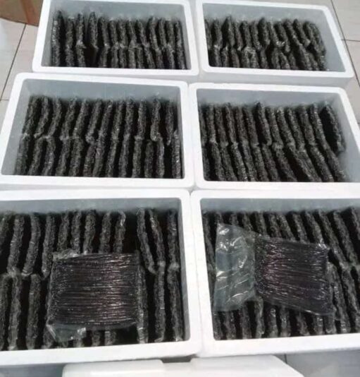 492231651_1867148230783702_4024246248826108506_n