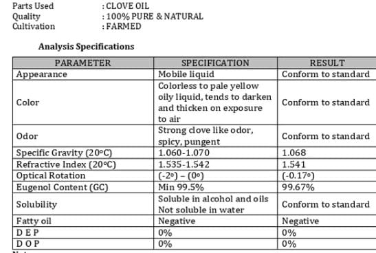 WhatsApp Image 2025-12-23 at 13.06.18