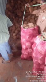 VID-20250827-WA0019(2)