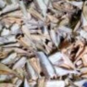 Profile photo of Yassir Arafah