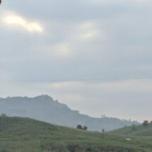 Profile photo of REZA NURIL HIDAYAT